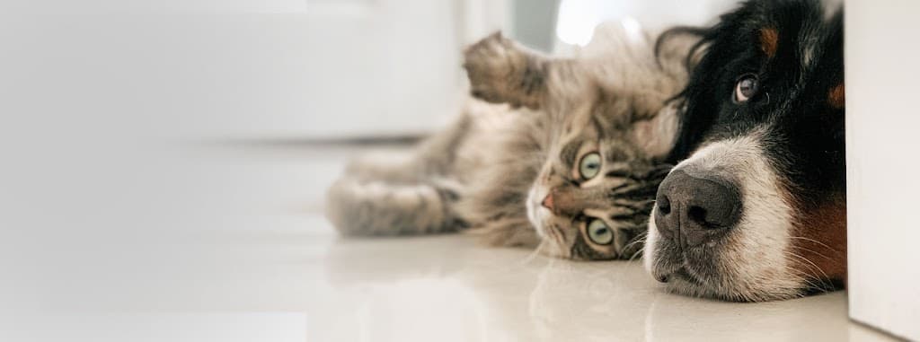 PCS Northampton Pet Cremation Services