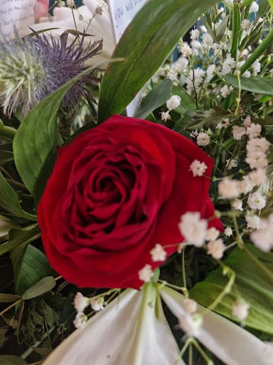 Co-op Funeralcare, Exeter Street, Plymouth — Customer photo