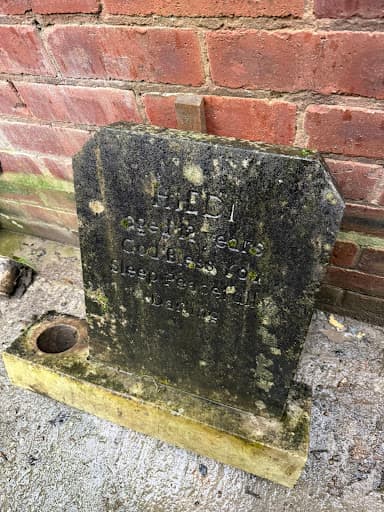 Alberti Lupton Co Ltd — Customer photo
