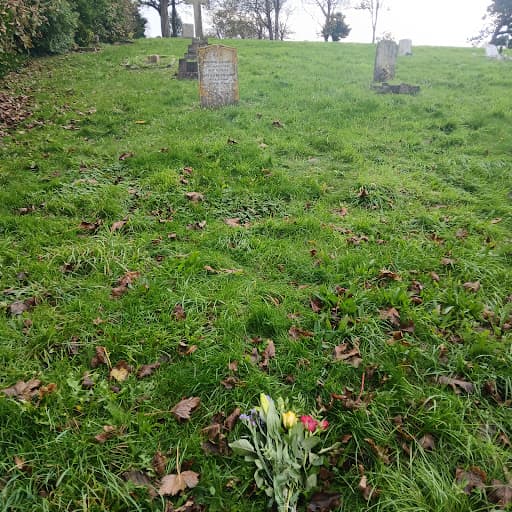 The Downs Crematorium and Brighton and Preston Cemetery — Customer photo